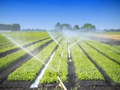 Irrigation Industry