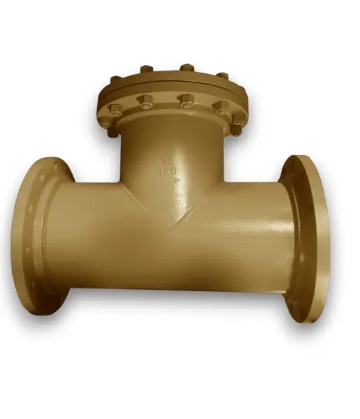 T Type Strainer